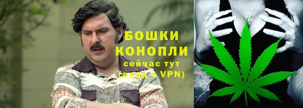 шишки Баксан