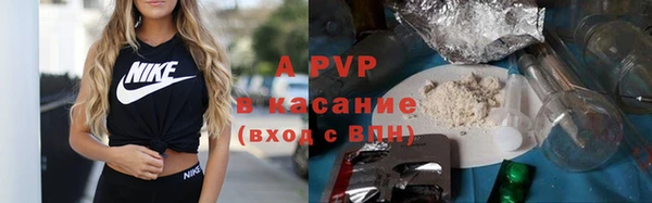 шишки Баксан