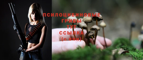 шишки Балахна