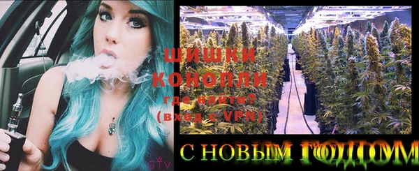 шишки Балахна