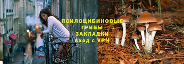 шишки Баксан
