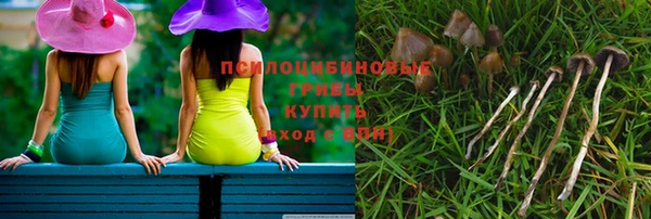 шишки Балахна