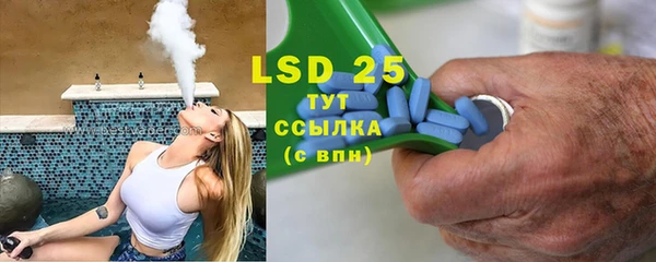 шишки Баксан