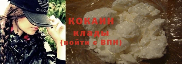 шишки Балахна