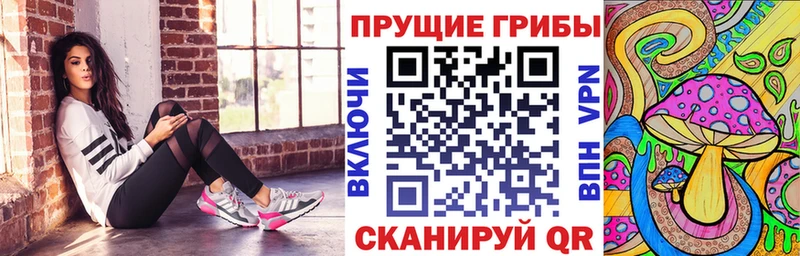 дарнет шоп  Нязепетровск  Галлюциногенные грибы ЛСД 